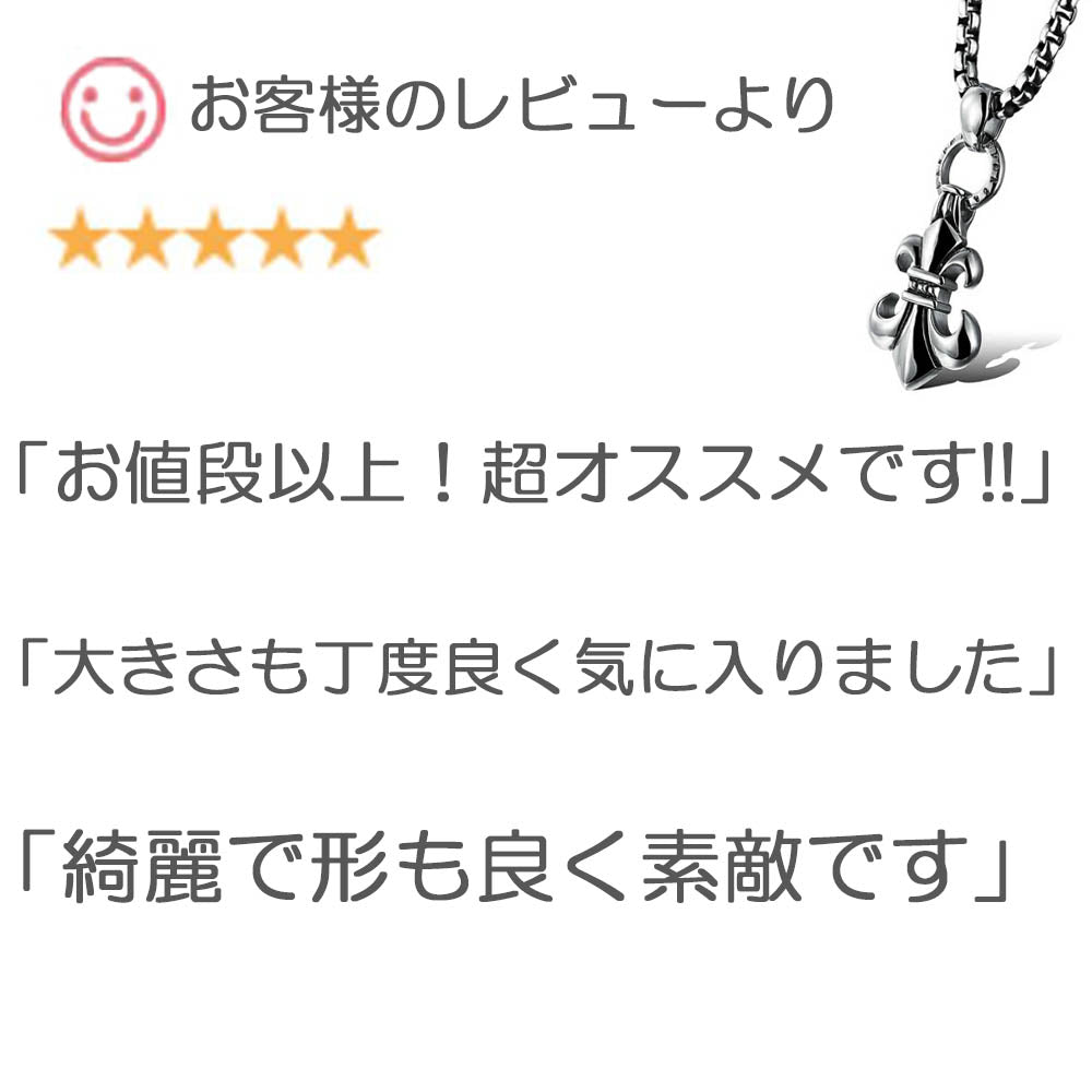 ネックレス メンズ メンズネックレス ペンダント 百合の紋章 シルバー チェーン 銀 ステンレス 金属アレルギー 紋章